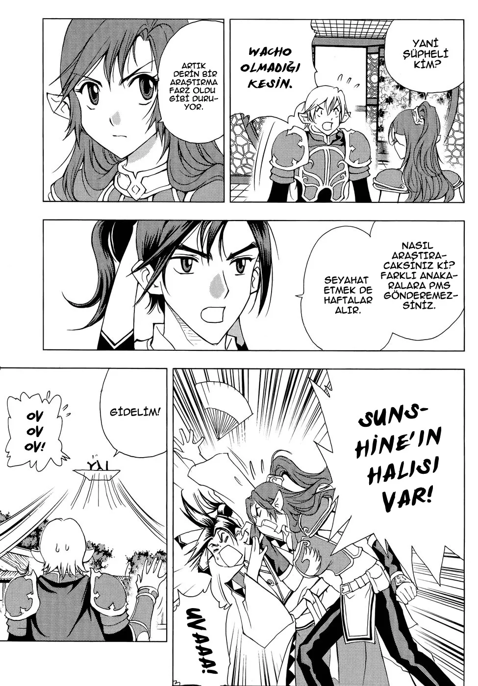 Sayfa 17